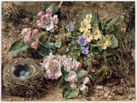 William Henry Hunt, Birds Nest,  Apple Blossom and Primroses