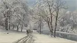 Anders Andersen-Lundby, The English Garden in Munich in winter.
