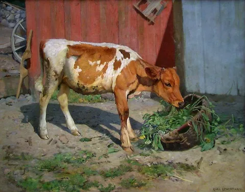 Karl Uchermann, In the Sun
