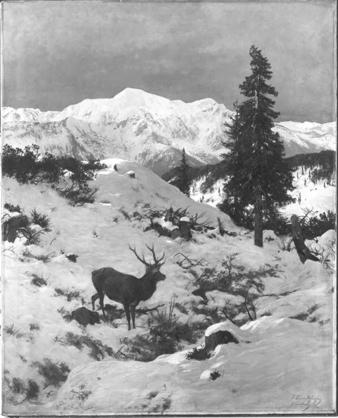 Josef Schmitzberger, Untitled