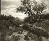Josef Schmitzberger, Untitled