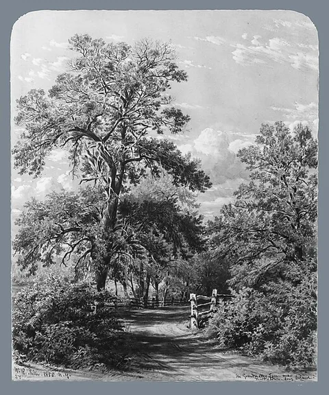 William Rickarby Miller, The Grandmother Tree, near Middletown, Long Island