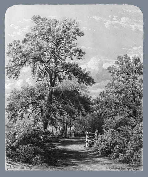 William Rickarby Miller, The Grandmother Tree, near Middletown, Long Island