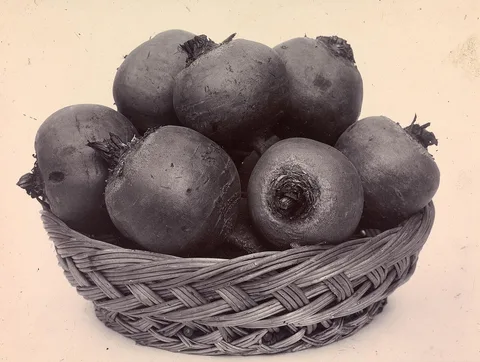 Charles Jones, Beet Globe