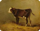 Edmund Mahlknecht, Untitled