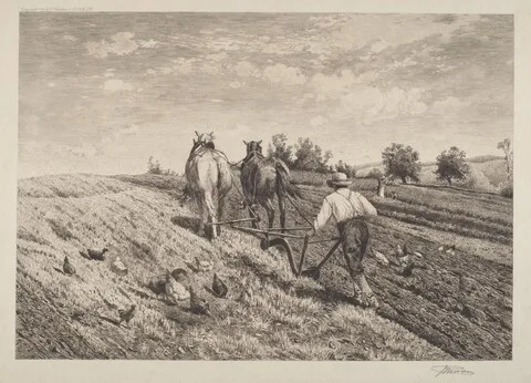 Peter Moran, The Ploughman
