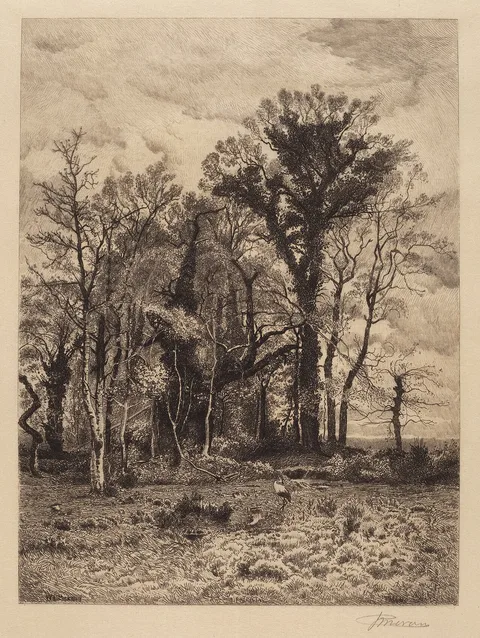 Peter Moran, The Edge of the Swamp