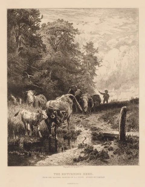 Peter Moran, The Returning Herd