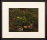 Gustav Friedrich Papperitz, Plants. Study