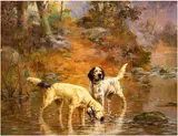 Percival Leonard Rosseau, Two Setters In A Cooling Stream On The Grounds Of Overhills