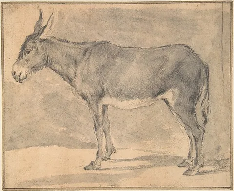 Pieter van Laer, Donkey