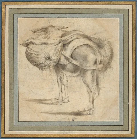 Pieter van Laer, Study of a Donkey