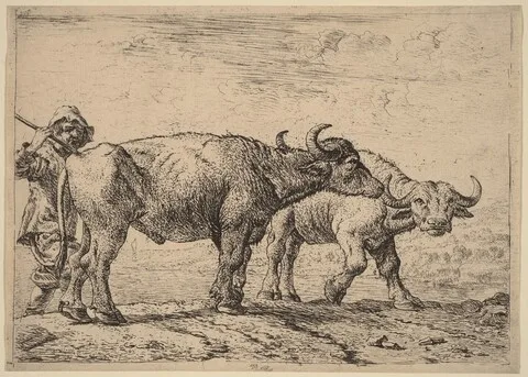Pieter van Laer, Two Buffaloes and a Herdsman