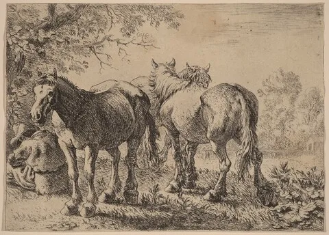 Pieter van Laer, Three Horses in a Field