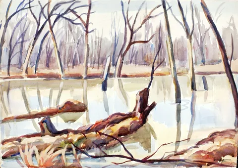 Edgar Nye, Rock Creek, Winter