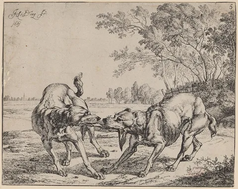 Johan le Ducq, The Disputed Meat (La viande disputé)