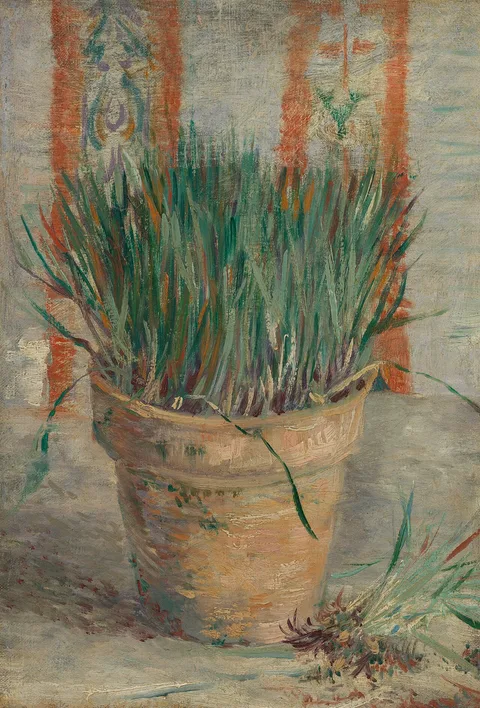 Vincent van Gogh, Flowerpot with Garlic Chives