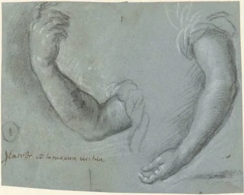 Paris Bordone, Twee armen van een vrouw
