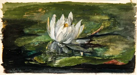 John La Farge, Water Lily in Sunlight