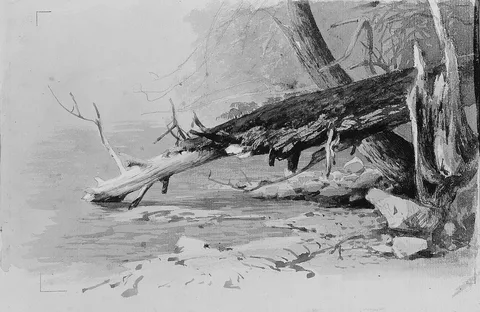 Hermann Ottomar Herzog, Moss-Covered Log