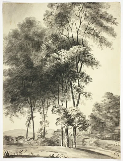 Nicholas Pocock, Trees with Mountains in Distance