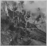 Giuseppe Casciaro, Untitled