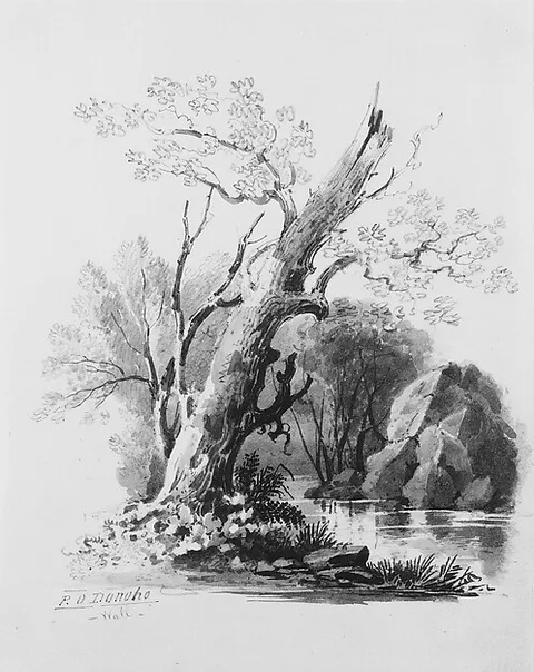 William Guy Wall, Forest Grove