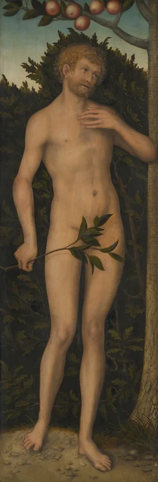 Lucas Cranach the Elder, Adam