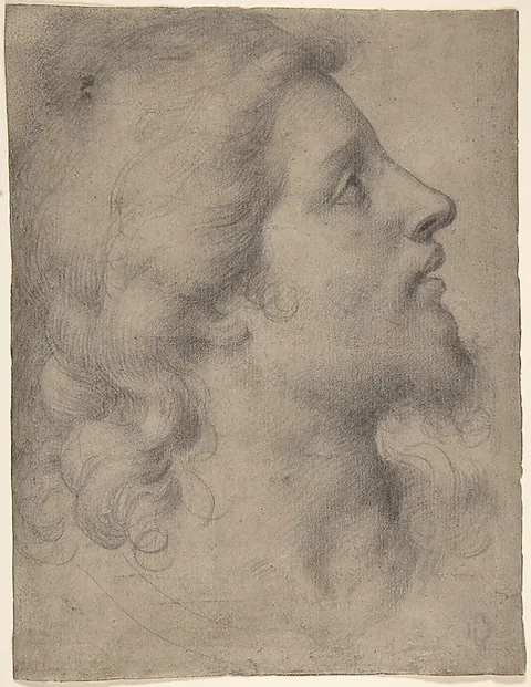 Bronzino, Head of a Bearded, Young Man in Profile Facing Right