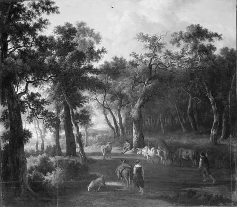 Jan Hackaert, Landscape