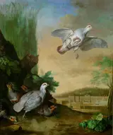 Johann Georg de Hamilton, Untitled
