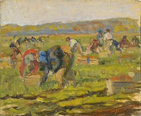 Manly MacDonald, Study (XX)