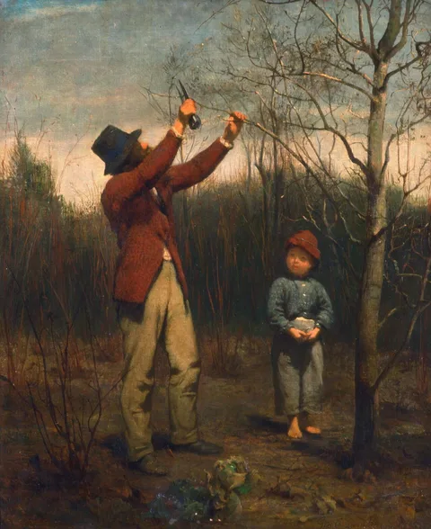 George Cochran Lambdin, The Pruner