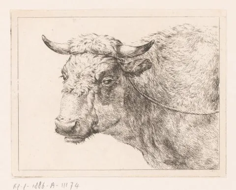 Hendrik Willem Schweickhardt, Kop van een koe