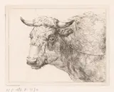 Hendrik Willem Schweickhardt, Kop van een koe