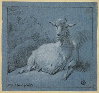 Hendrik Willem Schweickhardt, Shegoat