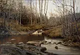 Philip Barlag, Skoginteriør