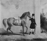Thomas Woodward, August Röting with "Barb"