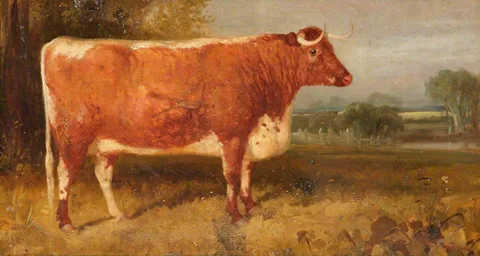 Thomas Woodward, 'Daisy', A Longhorn Cow in a Landscape, the Property of John Henry Whitmore-Jones of Chastleton