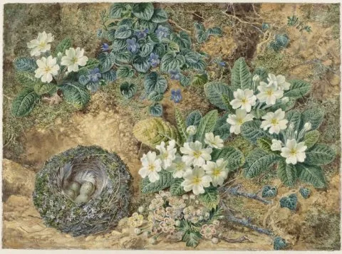 Thomas Frederick Collier, Stilleven van een vogelnestje, viooltjes, primula's en appelbloesem