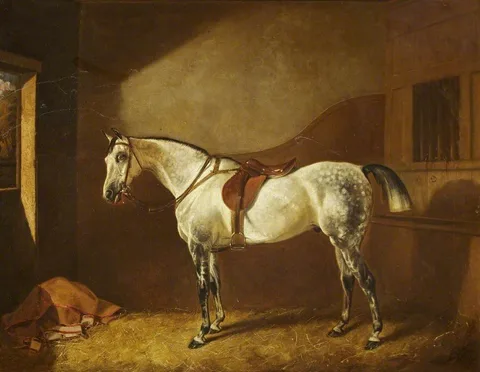 John Alfred Wheeler, Sir Henry Ainslie Hoare's Favourite Hunter