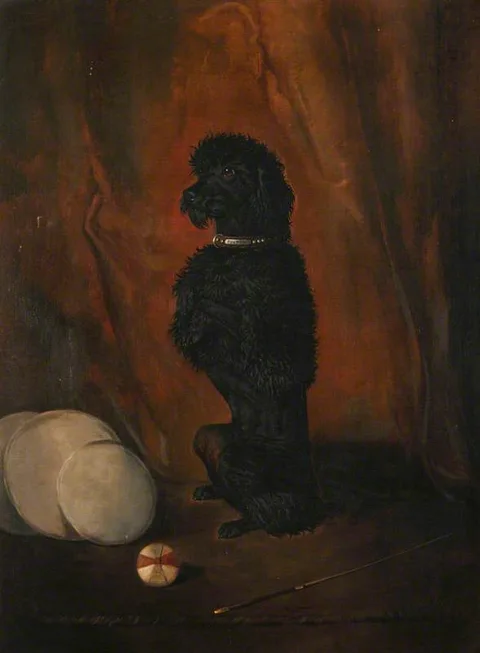 John Alfred Wheeler, 'Poupon' Begging