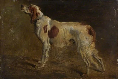 John Alfred Wheeler, A Setter