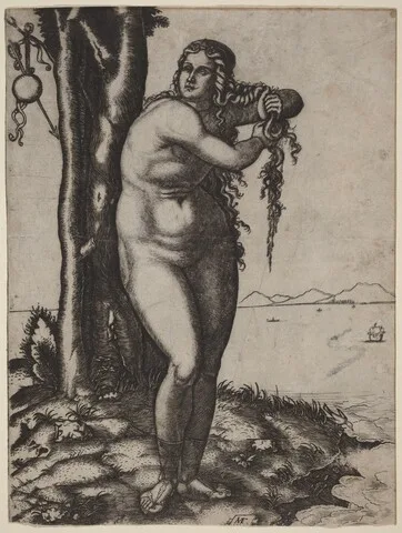 Marcantonio Raimondi, The Birth of Venus