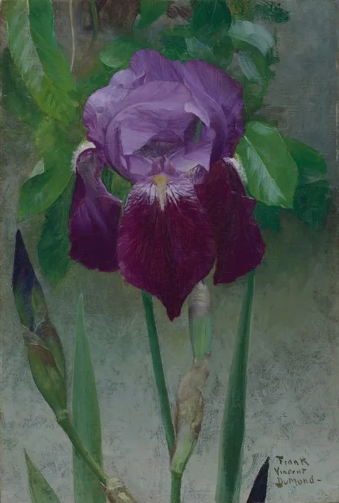 Frank DuMond, Iris