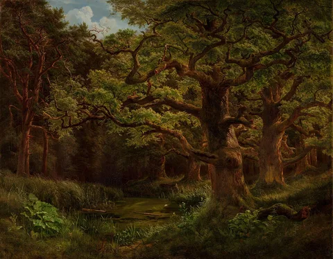 Bedřich Havránek, Forest in Choltice near Pardubice