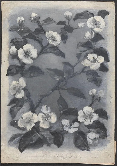 Wilhelm Peters, Untitled
