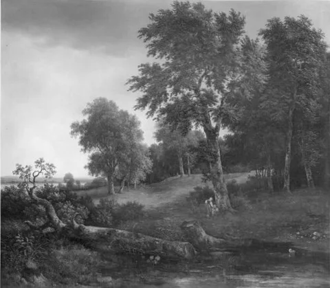 Franz Steinfeld, landscape