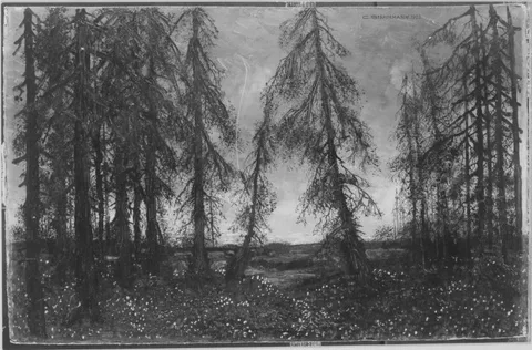 Carl Strathmann, Untitled
