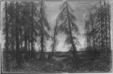 Carl Strathmann, Untitled